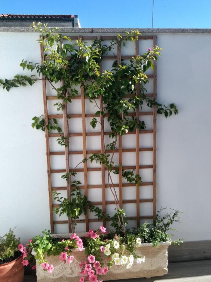 Casa Da Ponte Apartment Mirandela Ngoại thất bức ảnh